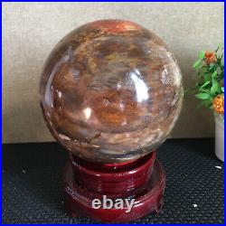 3080g NATURAL PRETTY Petrified Wood Crystal ball Healing md1300