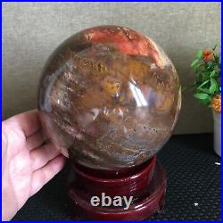 3080g NATURAL PRETTY Petrified Wood Crystal ball Healing md1300