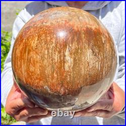 30.86lb Large Natural Petrified Wood Fossil Quartz Crystal Sphere Ball Healing 30.86lb Large Natural Petrified Wood Fossil Quartz Crystal Sphere Ball Healing