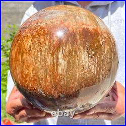 30.86lb Large Natural Petrified Wood Fossil Quartz Crystal Sphere Ball Healing 30.86lb Large Natural Petrified Wood Fossil Quartz Crystal Sphere Ball Healing