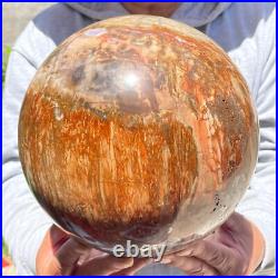 30.86lb Large Natural Petrified Wood Fossil Quartz Crystal Sphere Ball Healing 30.86lb Large Natural Petrified Wood Fossil Quartz Crystal Sphere Ball Healing