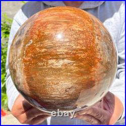 30.86lb Large Natural Petrified Wood Fossil Quartz Crystal Sphere Ball Healing 30.86lb Large Natural Petrified Wood Fossil Quartz Crystal Sphere Ball Healing
