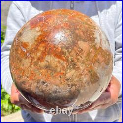 30.86lb Large Natural Petrified Wood Fossil Quartz Crystal Sphere Ball Healing 30.86lb Large Natural Petrified Wood Fossil Quartz Crystal Sphere Ball Healing