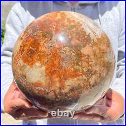 30.86lb Large Natural Petrified Wood Fossil Quartz Crystal Sphere Ball Healing 30.86lb Large Natural Petrified Wood Fossil Quartz Crystal Sphere Ball Healing