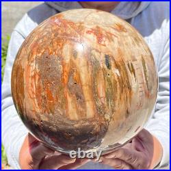 30.86lb Large Natural Petrified Wood Fossil Quartz Crystal Sphere Ball Healing 30.86lb Large Natural Petrified Wood Fossil Quartz Crystal Sphere Ball Healing