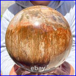 30.86lb Large Natural Petrified Wood Fossil Quartz Crystal Sphere Ball Healing 30.86lb Large Natural Petrified Wood Fossil Quartz Crystal Sphere Ball Healing