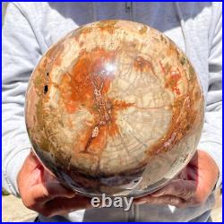 30.86lb Large Natural Petrified Wood Fossil Quartz Crystal Sphere Ball Healing 30.86lb Large Natural Petrified Wood Fossil Quartz Crystal Sphere Ball Healing