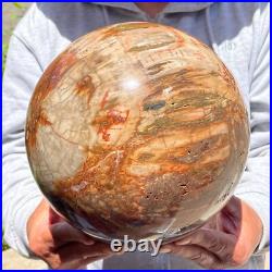 30.86lb Large Natural Petrified Wood Fossil Quartz Crystal Sphere Ball Healing 30.86lb Large Natural Petrified Wood Fossil Quartz Crystal Sphere Ball Healing