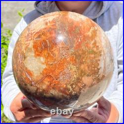 30.86lb Large Natural Petrified Wood Fossil Quartz Crystal Sphere Ball Healing 30.86lb Large Natural Petrified Wood Fossil Quartz Crystal Sphere Ball Healing