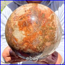 30.86lb Large Natural Petrified Wood Fossil Quartz Crystal Sphere Ball Healing 30.86lb Large Natural Petrified Wood Fossil Quartz Crystal Sphere Ball Healing