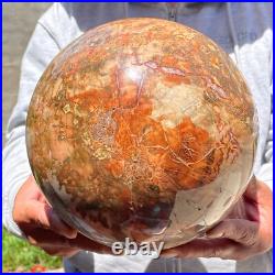 30.86lb Large Natural Petrified Wood Fossil Quartz Crystal Sphere Ball Healing 30.86lb Large Natural Petrified Wood Fossil Quartz Crystal Sphere Ball Healing
