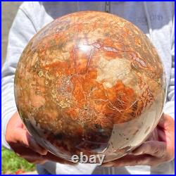 30.86lb Large Natural Petrified Wood Fossil Quartz Crystal Sphere Ball Healing 30.86lb Large Natural Petrified Wood Fossil Quartz Crystal Sphere Ball Healing