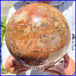 30.91lb Large Petrified Wood Crystal Ball Fossil Polished Sphere Specimen Reiki