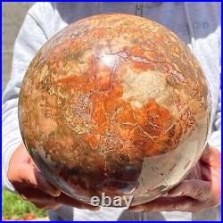 30.91lb Large Petrified Wood Crystal Ball Fossil Polished Sphere Specimen Reiki