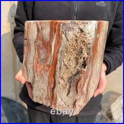 30.9lb Rare Natural petrified wood rough Wood fossil mineral specimen healing 30.9lb Rare Natural petrified wood rough Wood fossil mineral specimen healing
