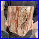 30_9lb_Rare_Natural_petrified_wood_rough_Wood_fossil_mineral_specimen_healing_01_fi