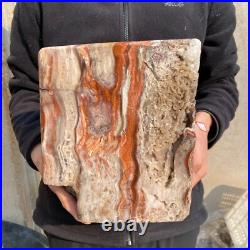 30.9lb Rare Natural petrified wood rough Wood fossil mineral specimen healing 30.9lb Rare Natural petrified wood rough Wood fossil mineral specimen healing