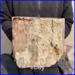 30.9lb Rare Natural petrified wood rough Wood fossil mineral specimen healing 30.9lb Rare Natural petrified wood rough Wood fossil mineral specimen healing