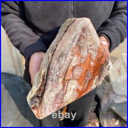 30.9lb Rare Natural petrified wood rough Wood fossil mineral specimen healing 30.9lb Rare Natural petrified wood rough Wood fossil mineral specimen healing