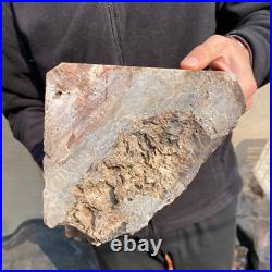 30.9lb Rare Natural petrified wood rough Wood fossil mineral specimen healing 30.9lb Rare Natural petrified wood rough Wood fossil mineral specimen healing