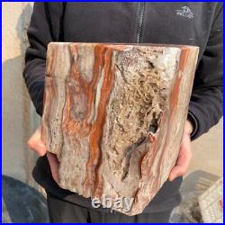 30.9lb Rare Natural petrified wood rough Wood fossil mineral specimen healing 30.9lb Rare Natural petrified wood rough Wood fossil mineral specimen healing