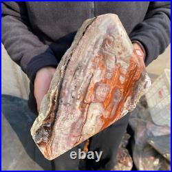 30.9lb Rare Natural petrified wood rough Wood fossil mineral specimen healing 30.9lb Rare Natural petrified wood rough Wood fossil mineral specimen healing