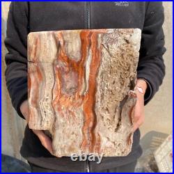30.9lb Rare Natural petrified wood rough Wood fossil mineral specimen healing 30.9lb Rare Natural petrified wood rough Wood fossil mineral specimen healing