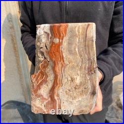 30.9lb Rare Natural petrified wood rough Wood fossil mineral specimen healing 30.9lb Rare Natural petrified wood rough Wood fossil mineral specimen healing
