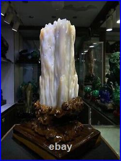 31LB Natural Petrified wood quartz crystal decoration point wand healing+stand