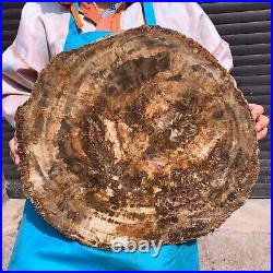 31.02LB Natural Petrified Wood Fossil Crystal Polished Slice- Madagascar