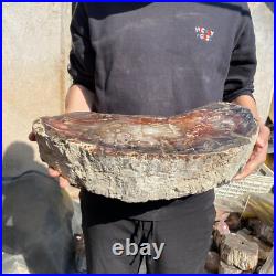 31.1lb Rare Natural petrified wood rough Wood fossil mineral specimen healing 31.1lb Rare Natural petrified wood rough Wood fossil mineral specimen healing
