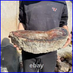 31.1lb Rare Natural petrified wood rough Wood fossil mineral specimen healing 31.1lb Rare Natural petrified wood rough Wood fossil mineral specimen healing