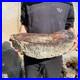 31_1lb_Rare_Natural_petrified_wood_rough_Wood_fossil_mineral_specimen_healing_01_np