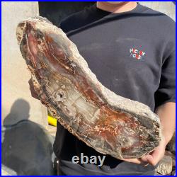 31.1lb Rare Natural petrified wood rough Wood fossil mineral specimen healing 31.1lb Rare Natural petrified wood rough Wood fossil mineral specimen healing