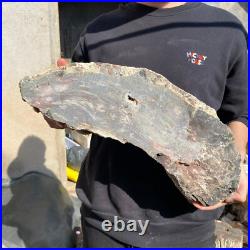 31.1lb Rare Natural petrified wood rough Wood fossil mineral specimen healing 31.1lb Rare Natural petrified wood rough Wood fossil mineral specimen healing