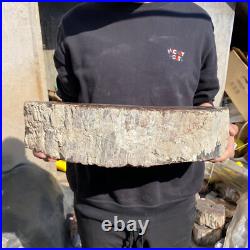 31.1lb Rare Natural petrified wood rough Wood fossil mineral specimen healing 31.1lb Rare Natural petrified wood rough Wood fossil mineral specimen healing
