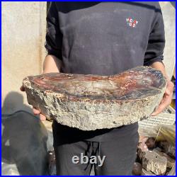 31.1lb Rare Natural petrified wood rough Wood fossil mineral specimen healing 31.1lb Rare Natural petrified wood rough Wood fossil mineral specimen healing