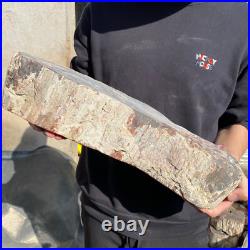 31.1lb Rare Natural petrified wood rough Wood fossil mineral specimen healing 31.1lb Rare Natural petrified wood rough Wood fossil mineral specimen healing