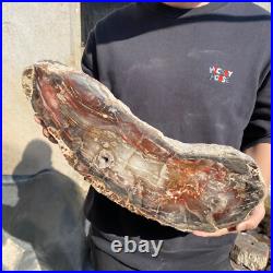 31.1lb Rare Natural petrified wood rough Wood fossil mineral specimen healing 31.1lb Rare Natural petrified wood rough Wood fossil mineral specimen healing