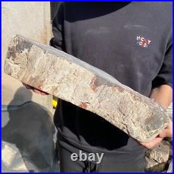 31.1lb Rare Natural petrified wood rough Wood fossil mineral specimen healing 31.1lb Rare Natural petrified wood rough Wood fossil mineral specimen healing