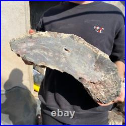 31.1lb Rare Natural petrified wood rough Wood fossil mineral specimen healing 31.1lb Rare Natural petrified wood rough Wood fossil mineral specimen healing