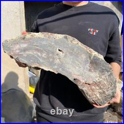 31.1lb Rare Natural petrified wood rough Wood fossil mineral specimen healing 31.1lb Rare Natural petrified wood rough Wood fossil mineral specimen healing