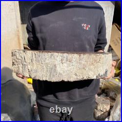 31.1lb Rare Natural petrified wood rough Wood fossil mineral specimen healing 31.1lb Rare Natural petrified wood rough Wood fossil mineral specimen healing