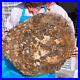 31_24LB_Natural_Petrified_Wood_Fossil_Crystal_Polished_Slice_Madagascar_1985_01_bryf