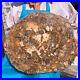 31_24LB_Natural_petrified_wood_fossil_crystal_polished_slice_Madagascar_1985_01_jprp