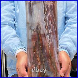 31.44LB Large Natural Petrified Wood Fossil Crystal Specimens Cylinder Healing