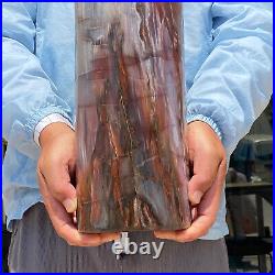 31.44LB Large Natural Petrified Wood Fossil Crystal Specimens Cylinder Healing