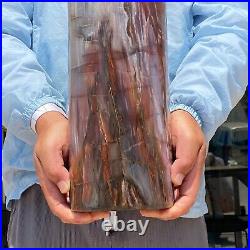 31.46 LB Large Natural Petrified Wood Fossil Crystal Specimens Cylinder Healing