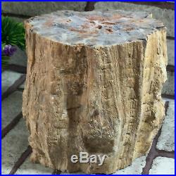 3200g Beautiful Polished Petrified Wood Fossil Crystal Slice Madagascar
