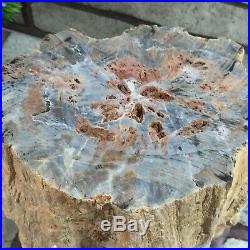 3200g Beautiful Polished Petrified Wood Fossil Crystal Slice Madagascar